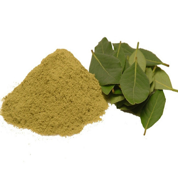 Dehydrated Bay Leaves and Powder