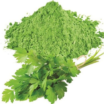 Dehydrated Coriander or Dhania (Leaves and Powder)