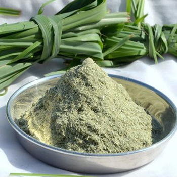 Dehydrated Lemongrass Leaves/Powder