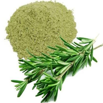 Dehydrated Rosemary Leaves/Powder