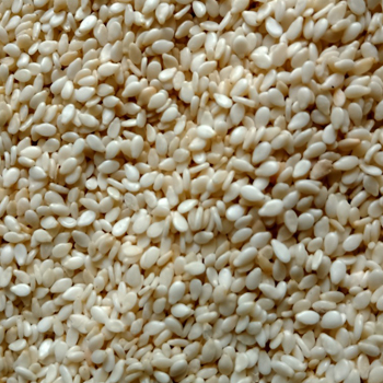 Sesame - Hulled Seeds