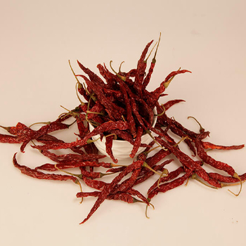 Red Chilli - Byadgi Variety