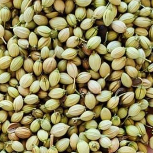 Coriander Seeds/Powder