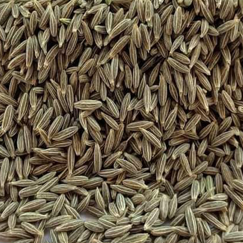 Cumin Seeds/Powder