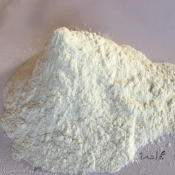 White Onion Powder